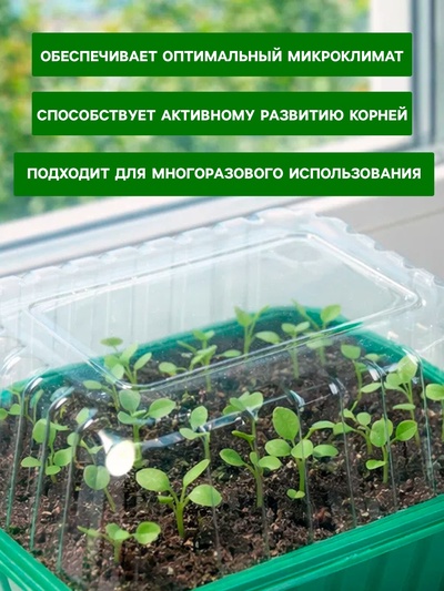 Мини - парник для рассады, 21×16×12, без вставок, пластик, Greengo