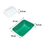 Мини - парник для рассады, 21×16×12, без вставок, пластик, Greengo - Фото 2