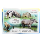 Учебник для дошкольников "Животные Земли" - Фото 2