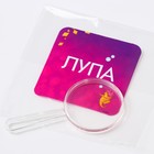 УЦЕНКА Набор для наблюдения «Юная натуралистка», Принцессы, Ариель - Фото 11