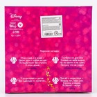 УЦЕНКА Набор для наблюдения «Юная натуралистка», Принцессы, Ариель - Фото 5