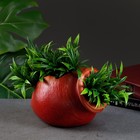 Фигурное кашпо «Амфора» бордо/медь, 21х14х12 см - фото 24725608 Фигурное кашпо «Амфора» бордо/медь, 21х14х12 см - фото 24725608