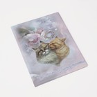 Папка для документов, 2 комплекта, цвет розовый - Фото 1