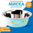 Миска металлическая для кошки «Любимое меню», 350 мл, 13х4.5 см 6256133 - фото 9690827