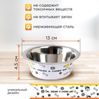 Миска металлическая для собаки «Ем, играю и снова ем», 350 мл, 13х4.5 см - Фото 3
