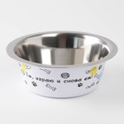 Миска металлическая для собаки «Ем, играю и снова ем», 350 мл, 13х4.5 см - Фото 5