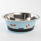 Миска металлическая для собаки Yammy, 1.6 л, 20.5х7 см - Фото 3