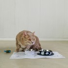 Миска металлическая для кошки с нескользящим основанием «Я хочу кушать», 235 мл, 15х3.5 см - Фото 6