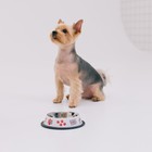 Миска металлическая для собаки с нескользящим основанием «Дай!», 235 мл, 15х3.5 см - Фото 5