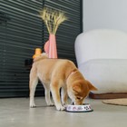 Миска металлическая для собаки с нескользящим основанием «Дай!», 235 мл, 15х3.5 см - Фото 6