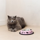 Миска металлическая для кошки с нескользящим основанием Yoga cat, 235 мл, 15х3.5 см - Фото 3