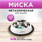 Миска металлическая для кошки с нескользящим основанием «Мур-мур!», 235 мл, 15х3.5 см - фото 300489629