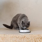 Миска металлическая для кошки с нескользящим основанием «Мур-мур!», 235 мл, 15х3.5 см - Фото 5