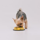 Миска металлическая для собаки с нескользящим основанием «Пёсик», 235 мл, 15х3.5 см - Фото 3