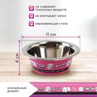 Миска металлическая для кошки «Вкусно», 240 мл, 11х4 см - Фото 2