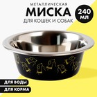 Миска металлическая для собаки «Пушистое счастье», 240 мл, 11х4 см 6256157 - фото 9690951