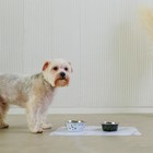 Миска металлическая для собаки «Пушистое счастье», 240 мл, 11х4 см - фото 6585342