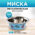 Миска металлическая для кошки «После вкусного обеда», 240 мл, 11х4 см - фото 300489663