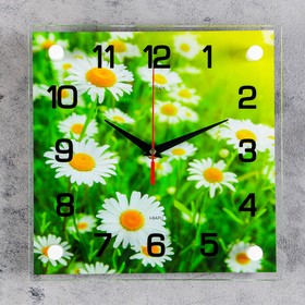 Часы настенные: Цветы, "Ромашки", бесшумные, 25 х 25 см, стекло