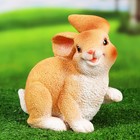 Фигура "Кролик веселый" 18х12х19см - Фото 5