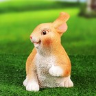Фигура "Кролик веселый" 18х12х19см - Фото 7