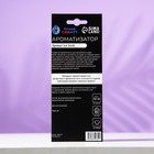 Ароматизатор подвесной Grand Caratt Ice Fresh, картонный - Фото 4