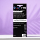 Ароматизатор подвесной Grand Caratt Ice Fresh, картонный - Фото 2