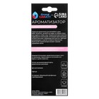 Ароматизатор для машины Grand Caratt, Бабл Гам, подвесной, картонный - Фото 7