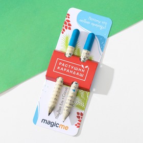 Растущие подарочные карандаши mini "Голубая ель и Сосна" набор 2 шт.