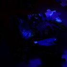 Пазл с фонариком «Динозаврики», 63 детали - фото 6586385