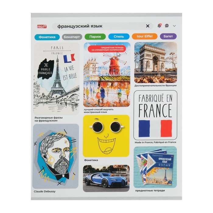Тетрадь предметная "Личный профиль", 48 листов в клетку "Французский язык", обложка мелованный картон, блок офсет - Фото 1