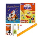 Папка для труда А4, 325 х 230 х 25 мм, молния вокруг, откидная планка, пластиковая, ПТР-1 "Бабочки", с наполнением 10 предметов - фото 42871895