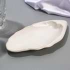 Тарелка керамическая «Морская ракушка», 9 х 19 см белая, цвет белый - Фото 2