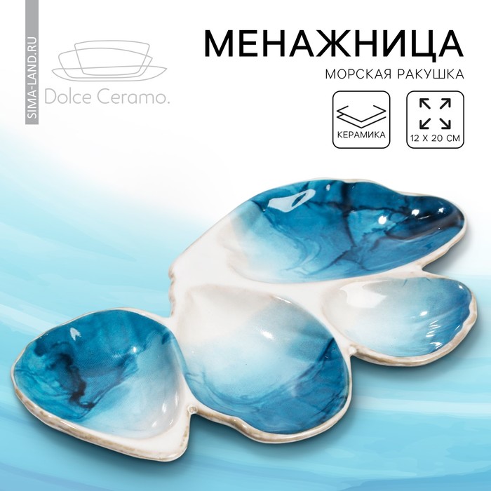 Менажница керамическая «Морская ракушка», 12 х 20 см, цвет белый-голубой