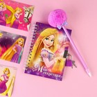 Подарочный набор: записная книжка на замочке, наклейки и ручка - пушистик, Принцессы - фото 9694630