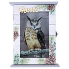 Ключница с дверкой "Home", 5,5 х 18 х 24 см - фото 804812732