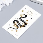 Татуировка на тело цветная фосфорная "Змея в узорах" 10,5х6 см - фото 21567447