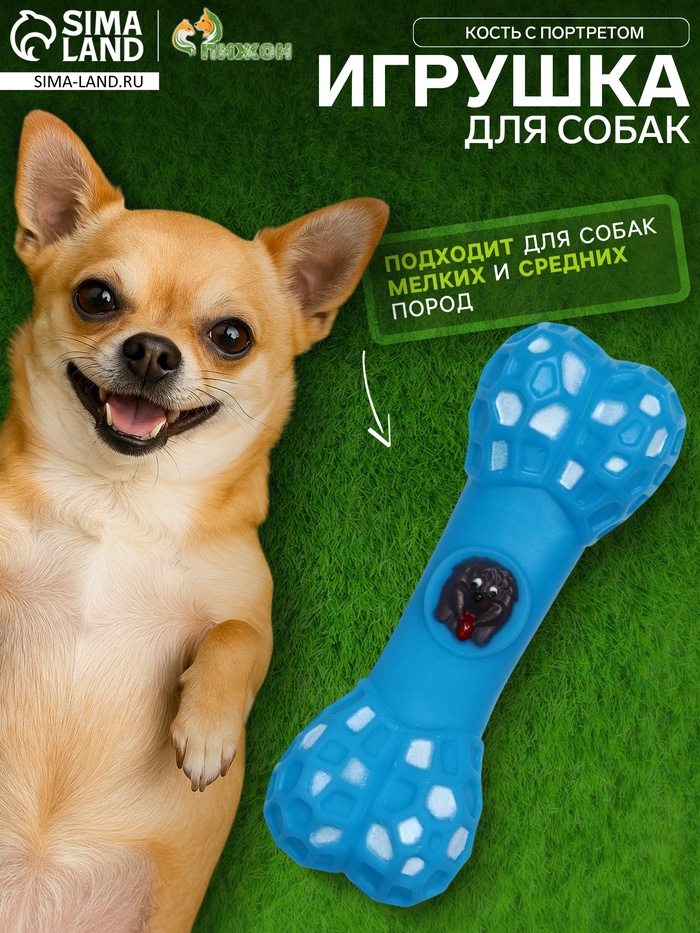 Игрушка для собак «Кость с портретом», 15 см, пищащая, винил, голубая - Фото 1