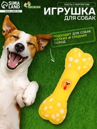 Игрушка для собак «Кость с портретом», 15 см, пищащая, жёлтая - Фото 1