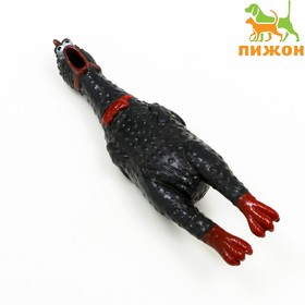 Игрушка пищащая 'Задумчивая курица' малая для собак, 16,5 см, чёрная