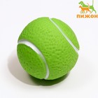 Игрушка пищащая "Теннисный мяч" для собак, 7,5 см, зелёная - фото 9696577