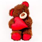 Мягкая игрушка «Медвежонок Чиба», с сердцем - Фото 2