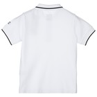 Футболка-поло для мальчика, рост 158 см - Фото 3