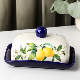 Маслёнка Доляна «Лимон», 17×12×8,5 см, цвет белый