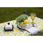 Маслёнка Доляна «Лимон», 17×12×8,5 см, доломит, белая - Фото 9