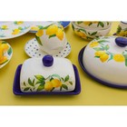 Маслёнка Доляна «Лимон», 17×12×8,5 см, доломит, белая - Фото 10