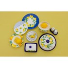 Маслёнка Доляна «Лимон», 17×12×8,5 см, доломит, белая - Фото 11