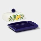 Маслёнка Доляна «Лимон», 17×12×8,5 см, доломит, белая - Фото 4