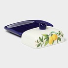 Маслёнка Доляна «Лимон», 17×12×8,5 см, доломит, белая - Фото 5