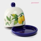 Лимонница Доляна «Лимон», 9×9 см - Фото 2